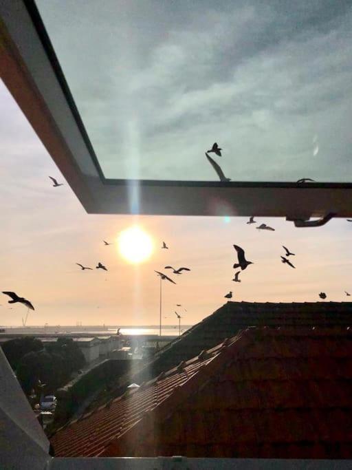 Lobo Do Mar Matosinhos Beach Loft Extérieur photo